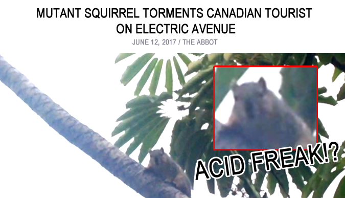 Tripping Squirrel Terrorizes Electric Avenue